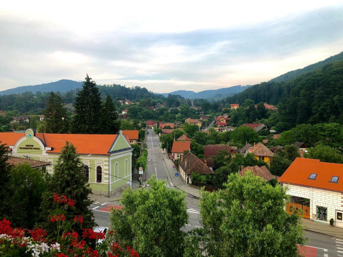 Vila Ursul Negru Sovata Dış mekan fotoğraf